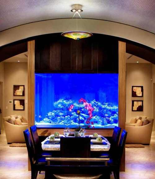 1639017878989851.jpg 魚缸.jpg